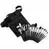 Crown Pro 15-Piece Brush Set